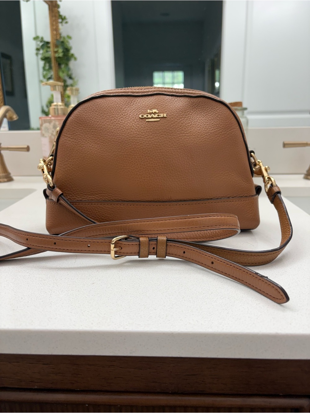 Coach Brown Leather Logo Patch Interior
